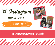 あいの里動物病院 Instagram（インスタグラム）をはじめました！FOLLOW ME!（@ ainosatovet ）で検索!