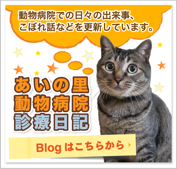 ｢あいの里動物病院診療日記｣Blogはこちらから！/動物病院での日々の出来事、こぼれ話などを更新しています。
