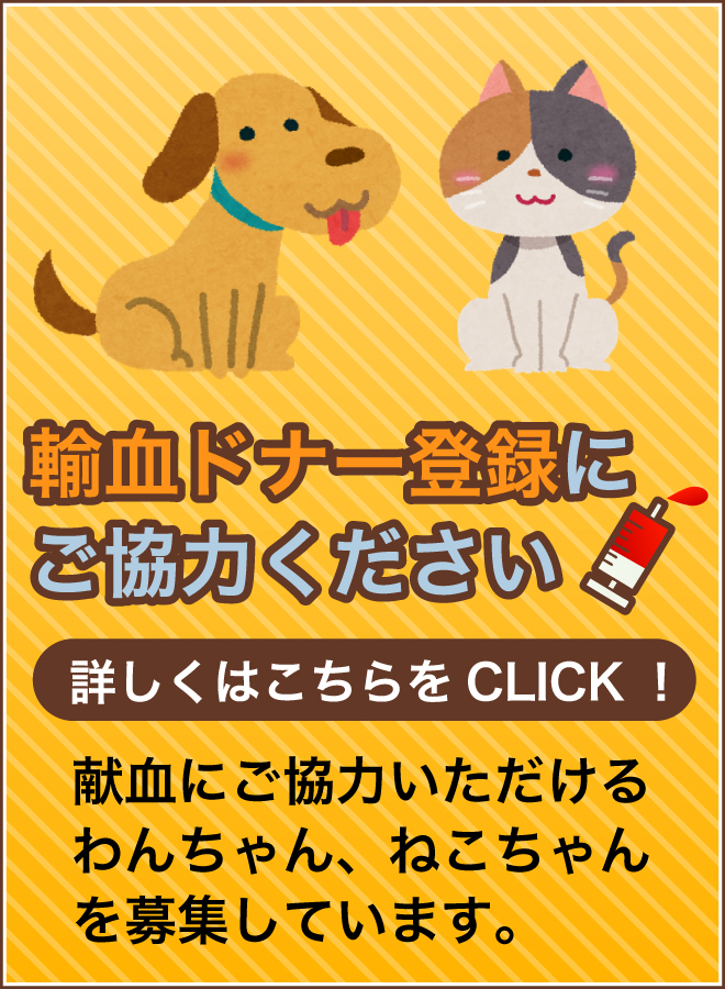 輸血ドナー登録にご協力ください。献血にご協力いただけるわんちゃん、ねこちゃんを募集しています。詳しくはこちらをCLICK