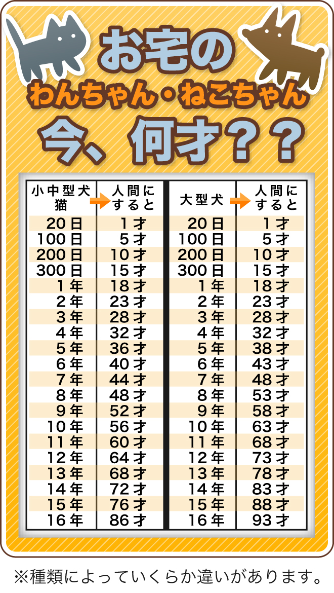 お宅のわんちゃん・ねこちゃん今、何才？？チェックはこちら//※種類によっていくらか違いがあります。
