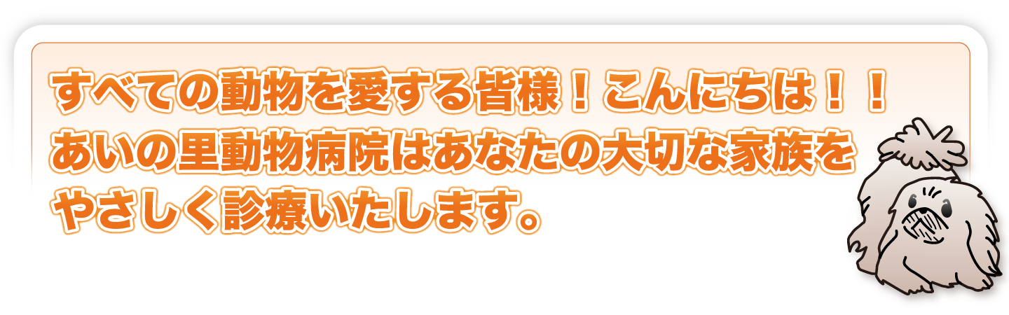 すべての動物を愛する皆様！こんにちは！！あいの里動物病院はあなたの大切な家族をやさしく診療いたします。