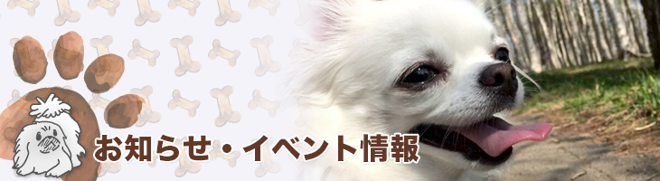 お知らせ・ニュース一覧