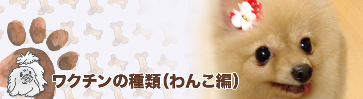 ワクチンの種類(わんこ編)
